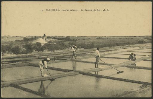 L'île de Ré. - La récolte du sel dans les marais salants (vues 1-3) et son chargement en bateau (vues 4-5).